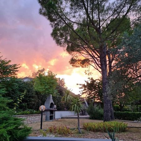 ナルニ San Casciano Bed & Breakfast エクステリア 写真