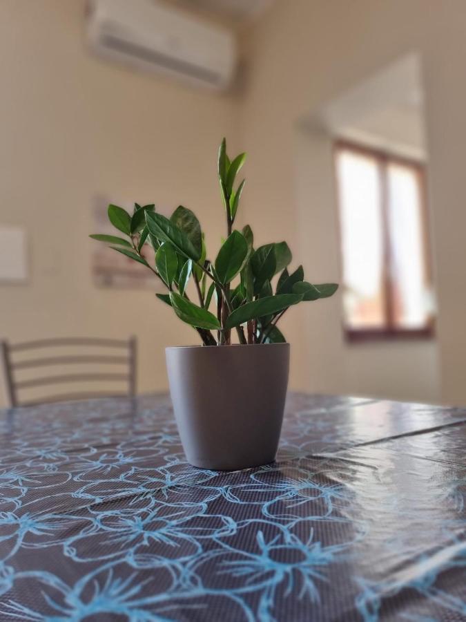 ナルニ San Casciano Bed & Breakfast エクステリア 写真